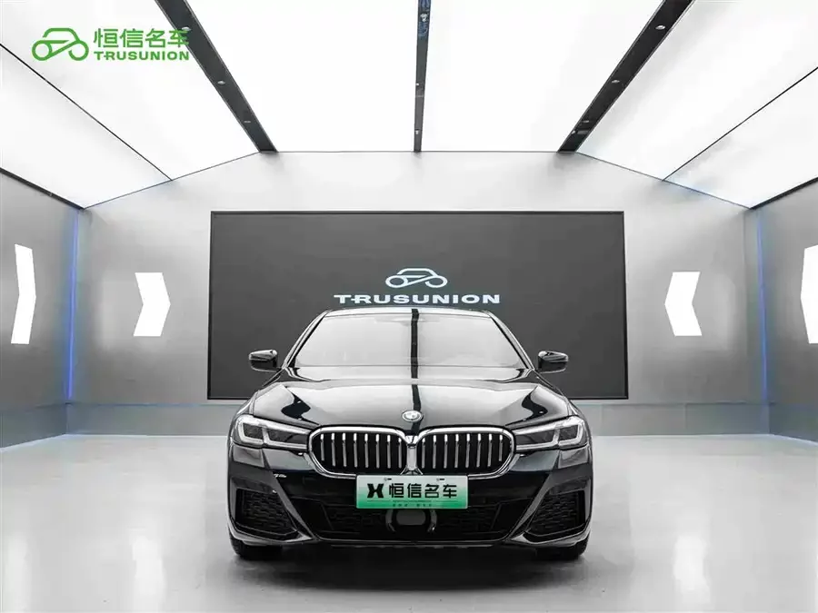 BMW 5 Series New Energy