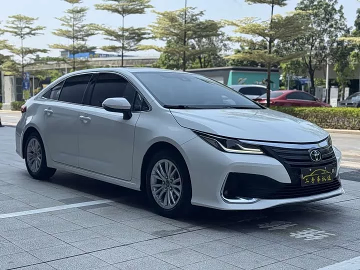 Toyota Asiatic lion