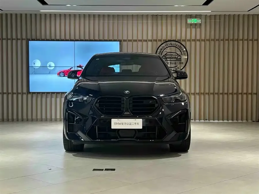 BMW X6 M