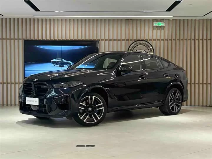 BMW X6 M