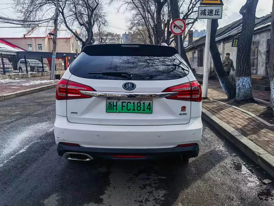 BYD Tang New Energy