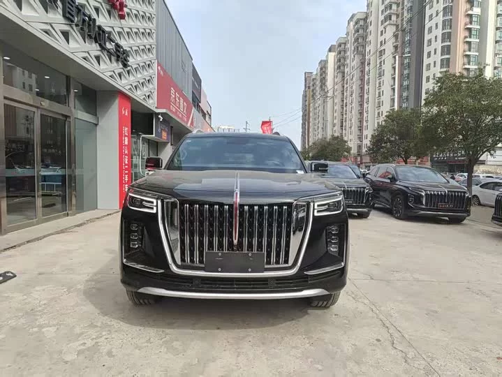 Hongqi Golden Sunflower National Glory