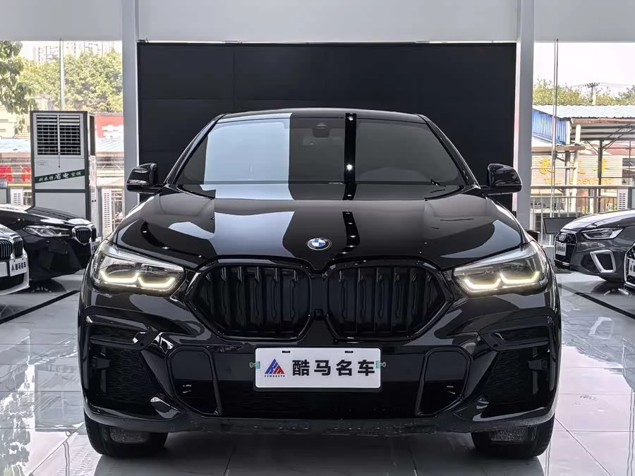 BMW X6