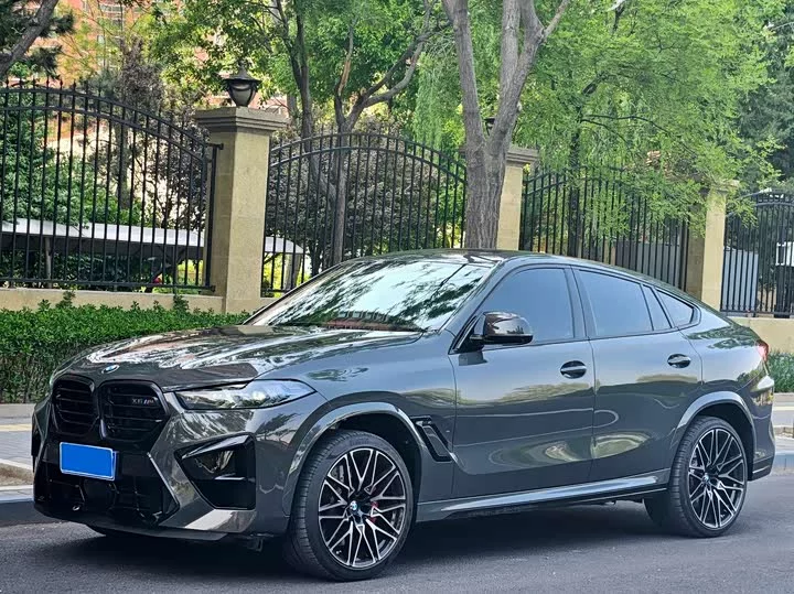 BMW X6 M
