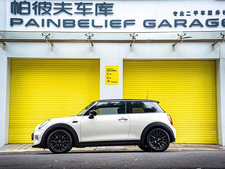 MINI 