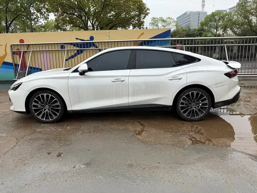 MG 7