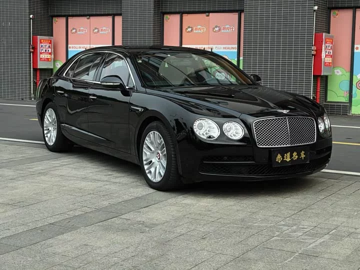 Bentley galloping