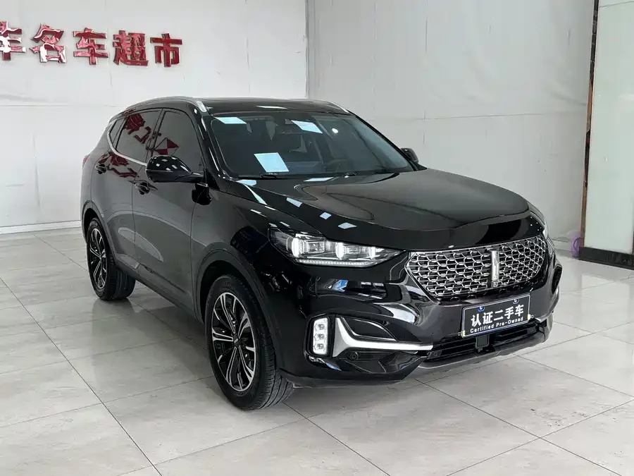 Wey VV6