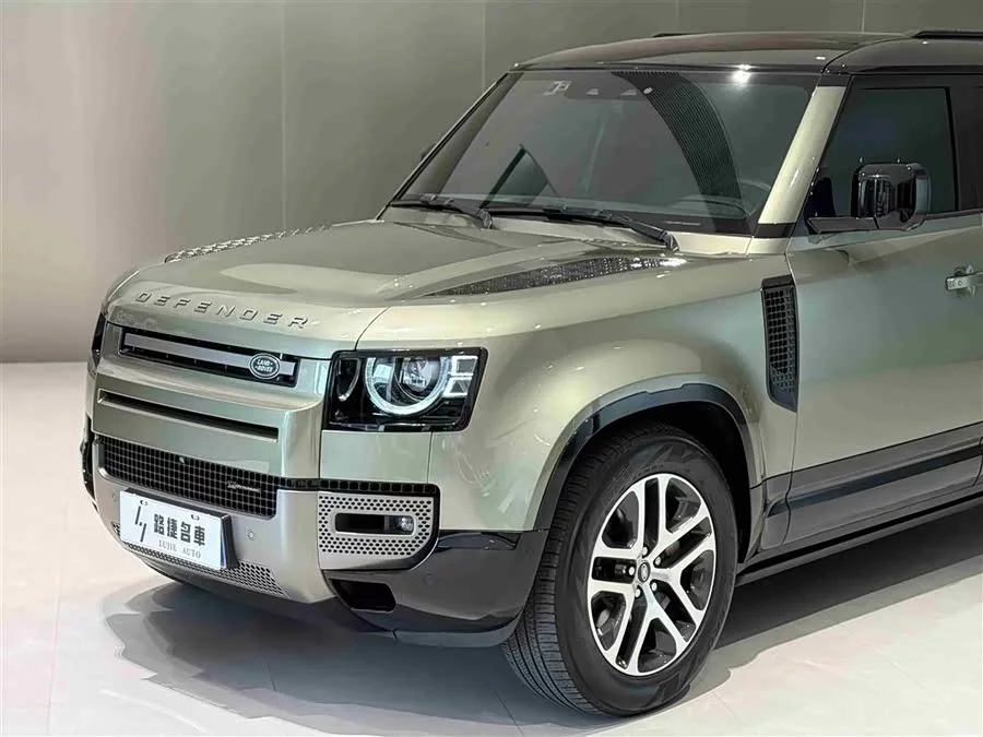 Land Rover guard
