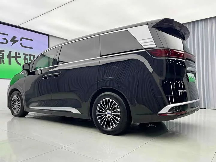 Denza D9