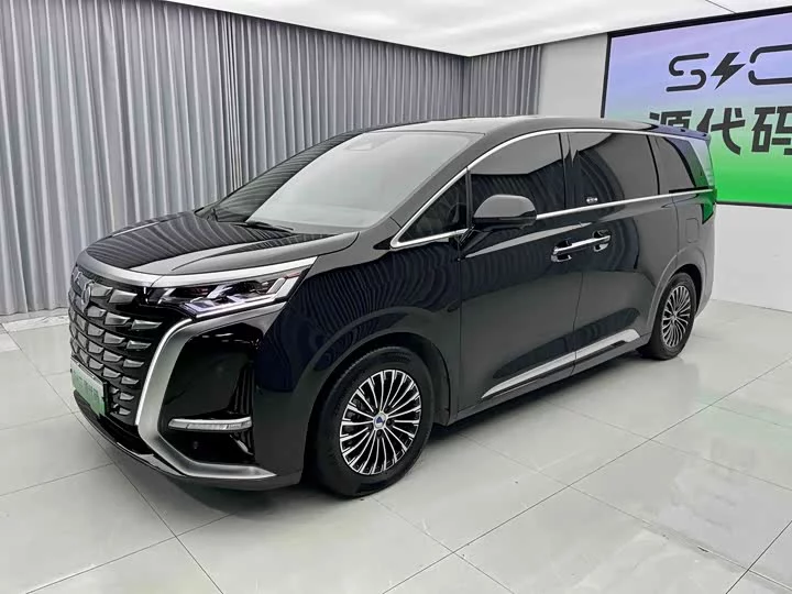 Denza D9
