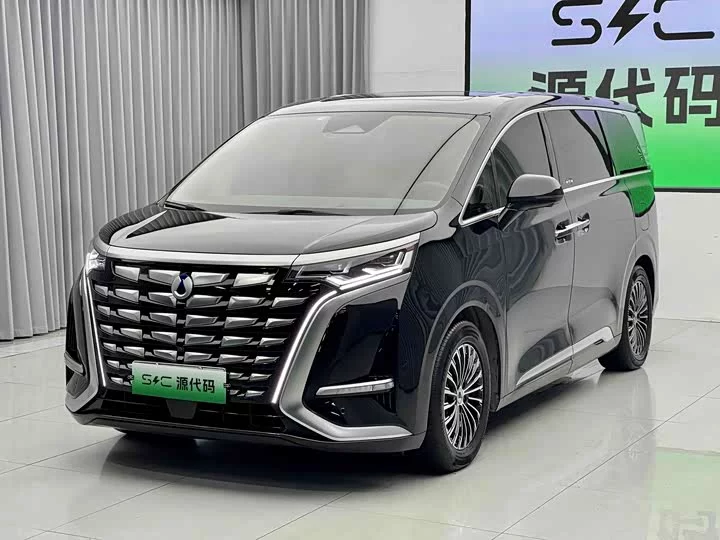 Denza D9
