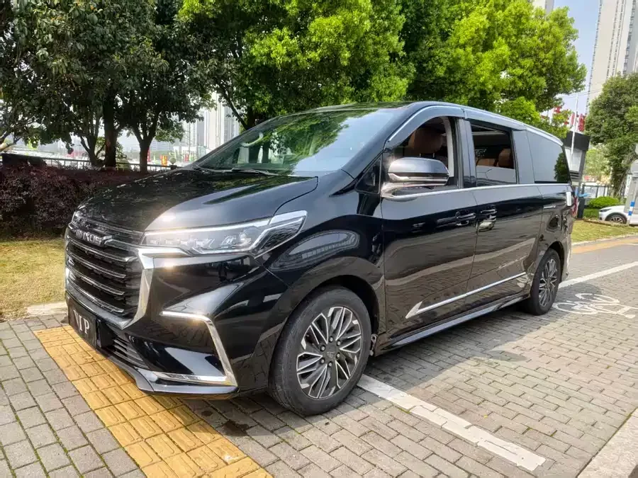 Maxus G20