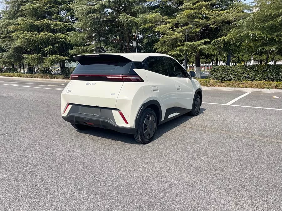 BYD Seagull