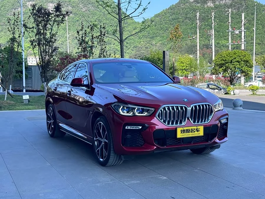 BMW X6