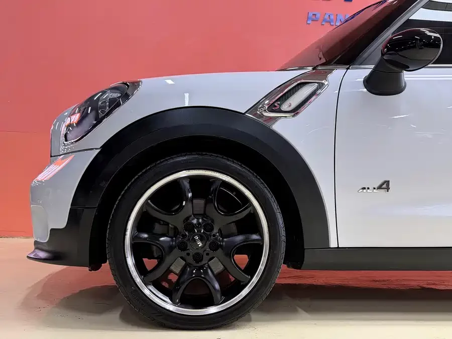 MINI PACEMAN