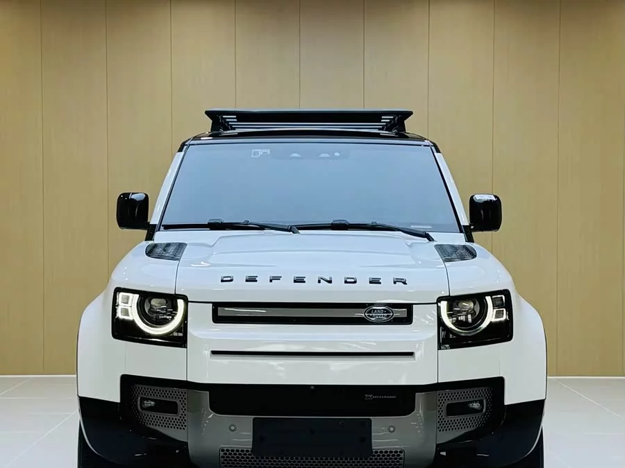 Land Rover guard