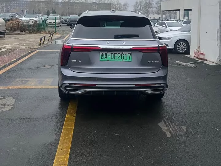 Hongqi E-HS9