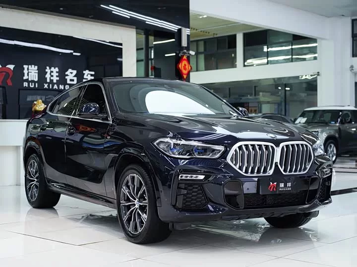 BMW X6