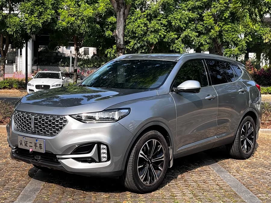 Wey VV6