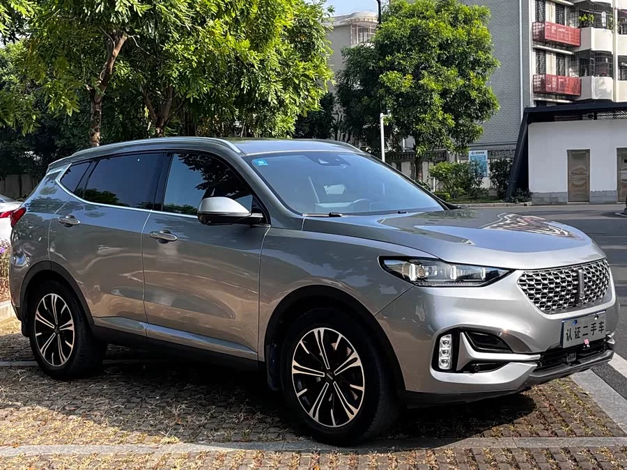Wey VV6