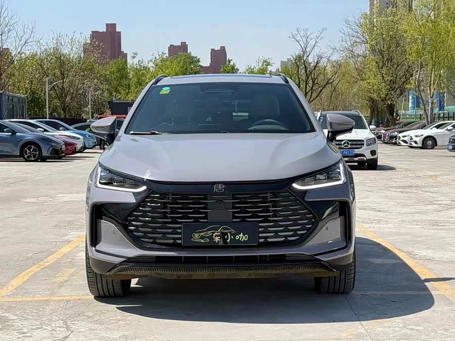 BYD Tang New Energy