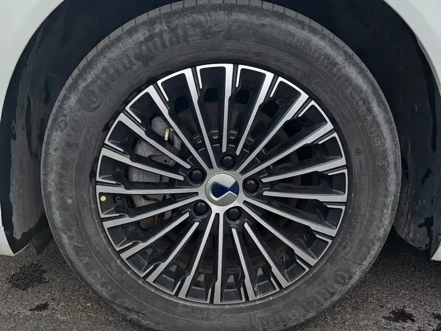 BYD D9