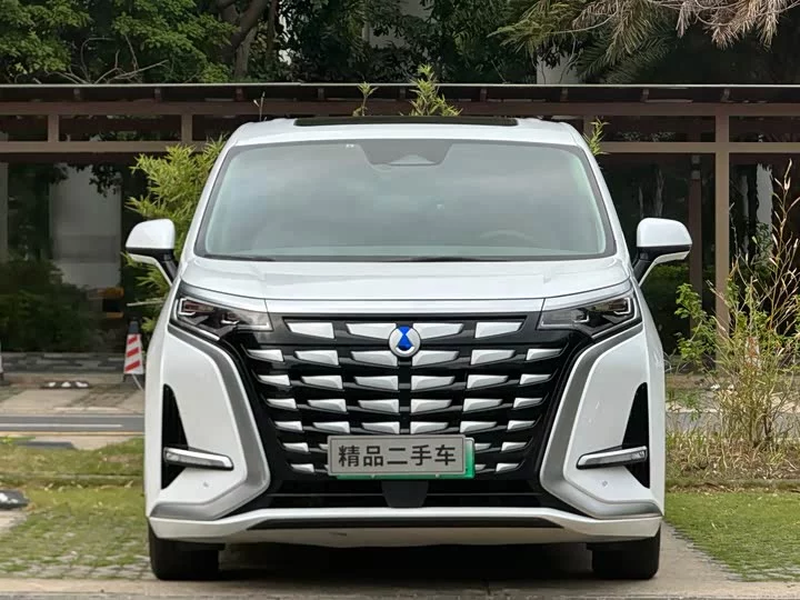 Denza D9