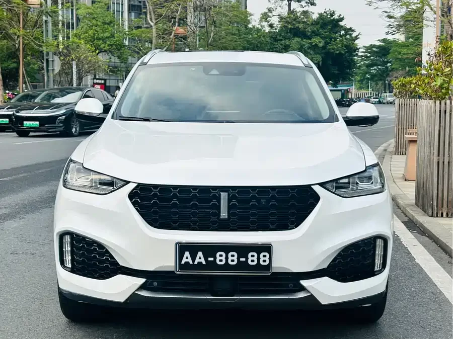 Wey VV6