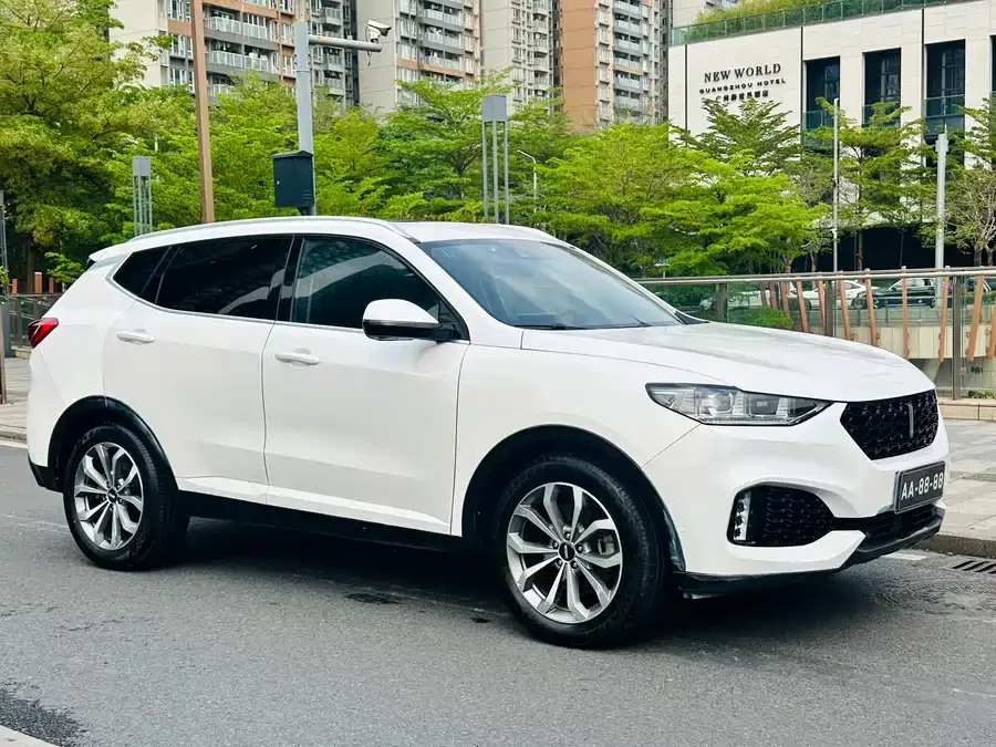 Wey VV6