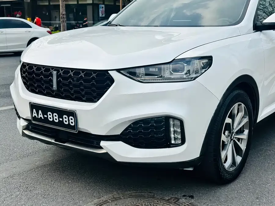 Wey VV6