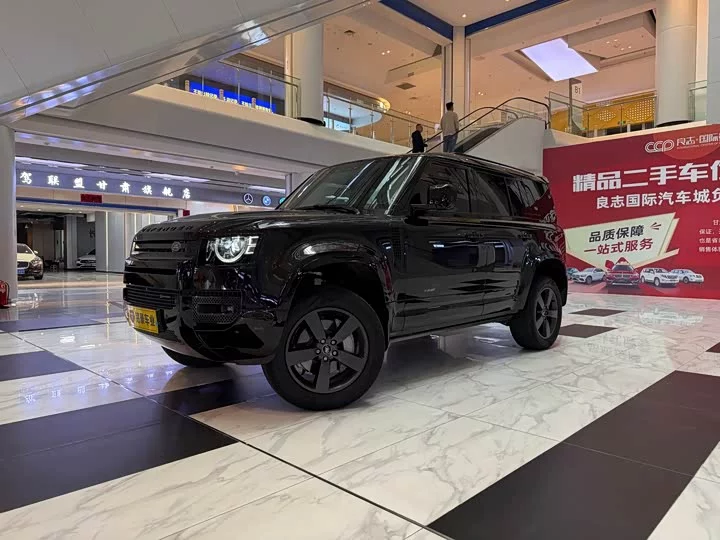 Land Rover guard