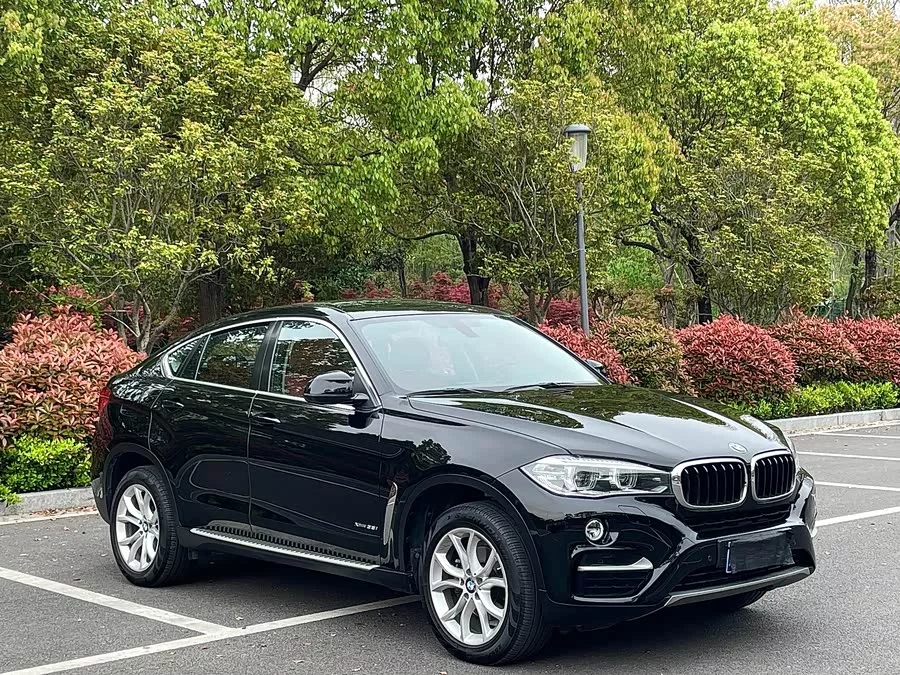 BMW X6