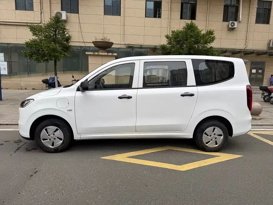 Wuling Hongguang New Energy