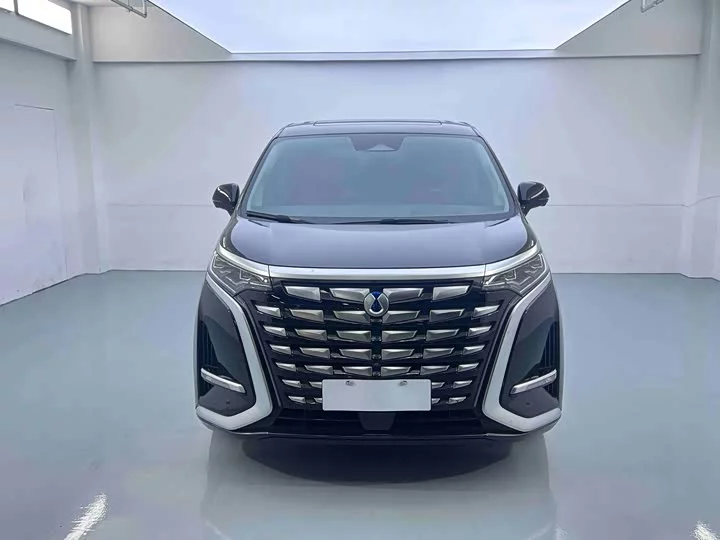 Denza D9
