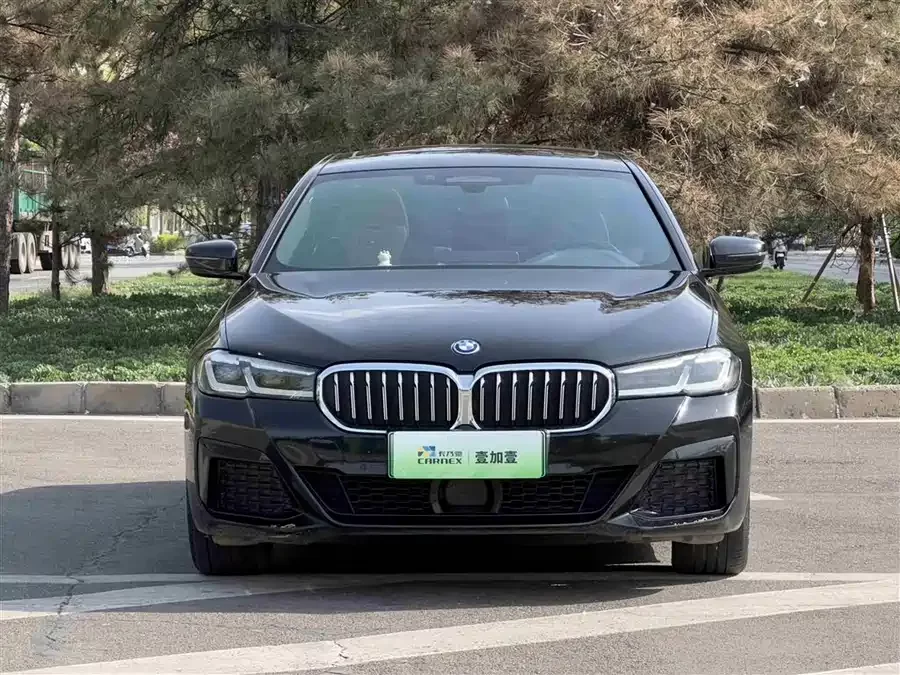 BMW 5 Series New Energy