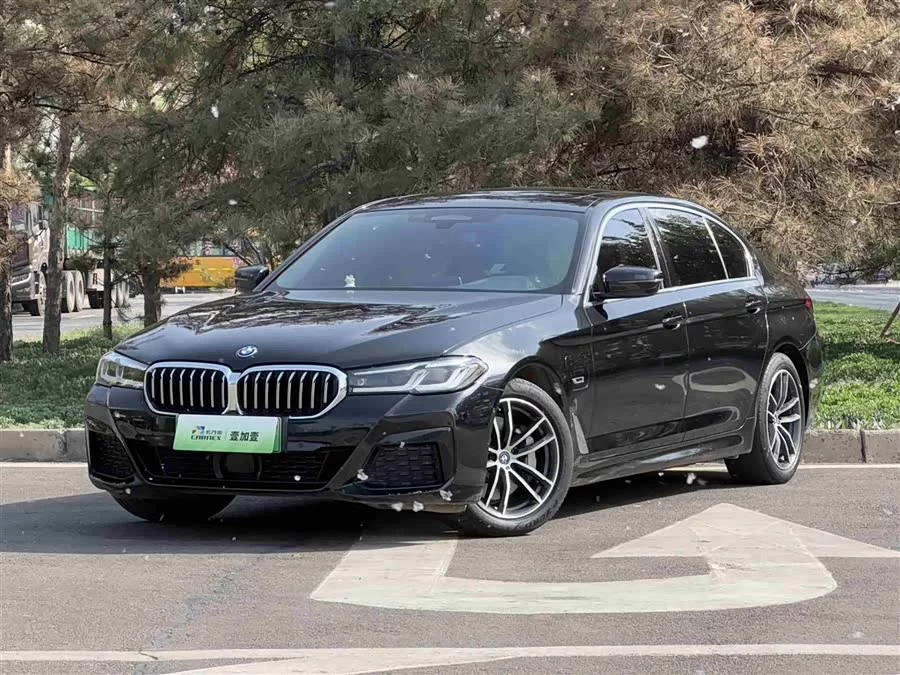 BMW 5 Series New Energy