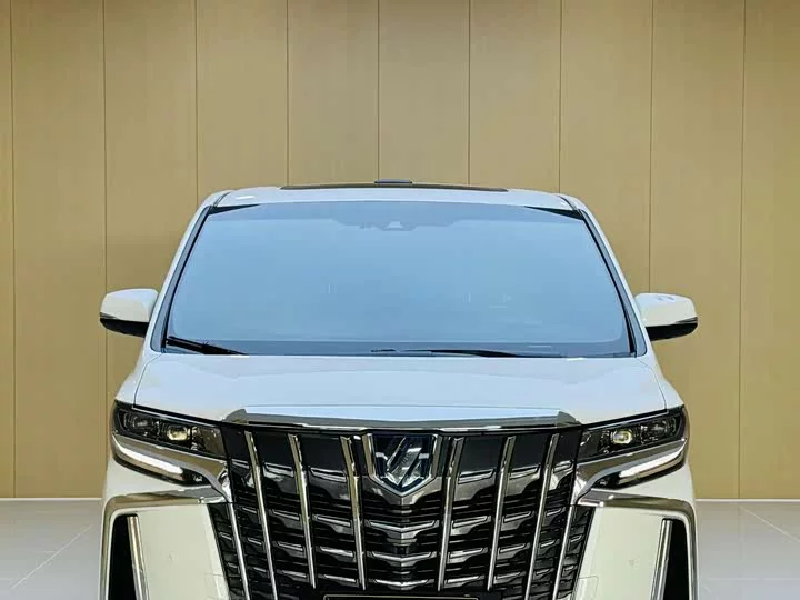 Toyota Elfa