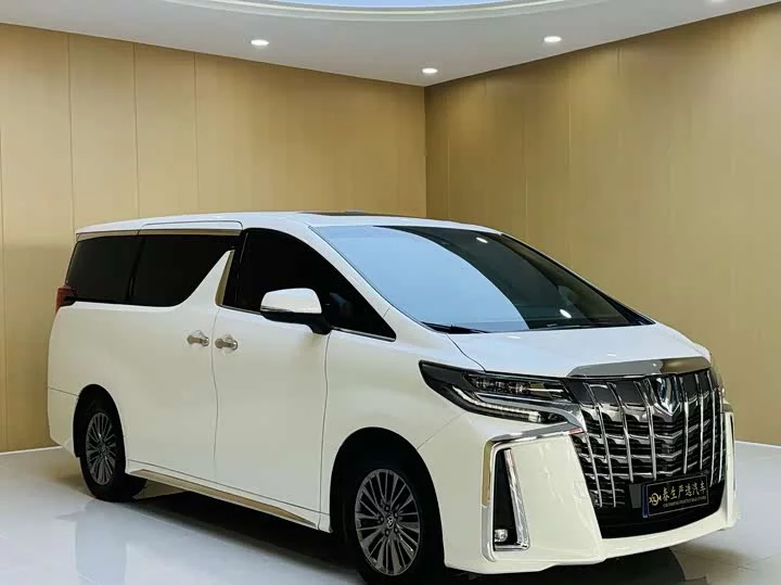 Toyota Elfa