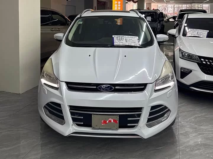 Ford wing tiger