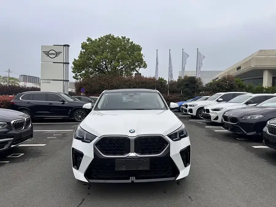 BMW X2