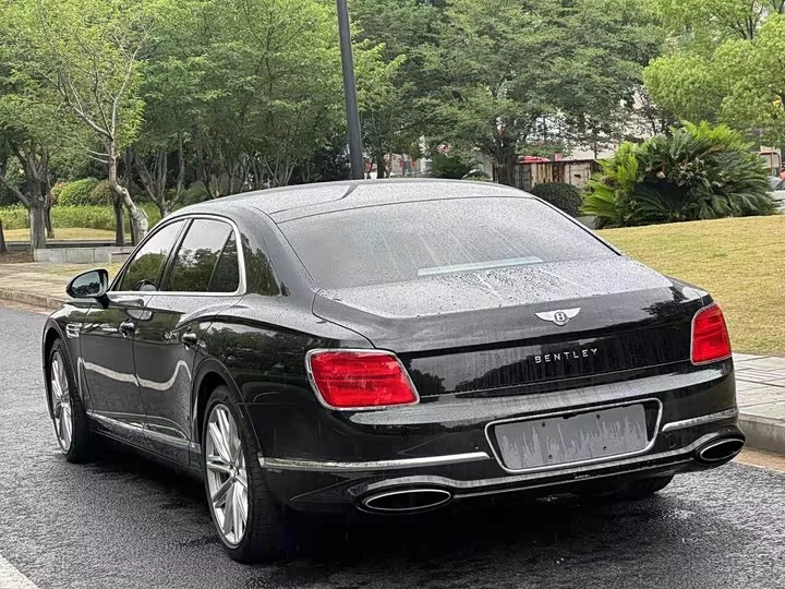 Bentley galloping