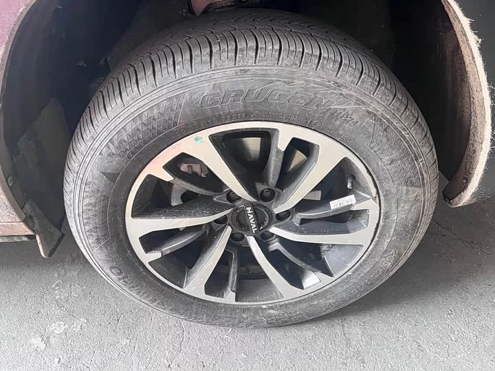 Haval H9