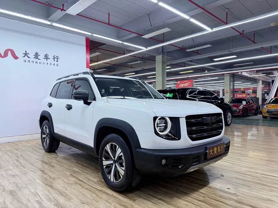 Haval Big Dog DaGou