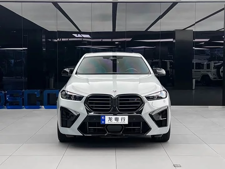 BMW X6 M