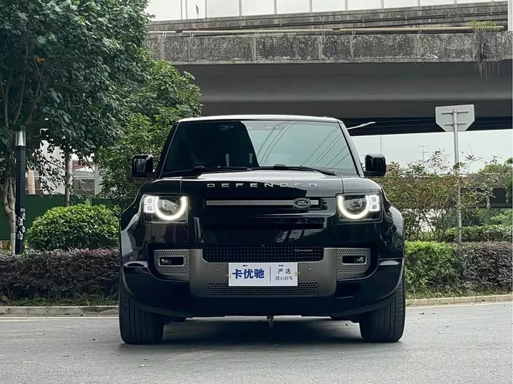 Land Rover guard