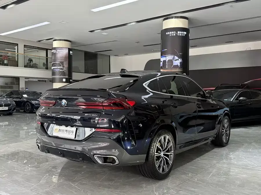 BMW X6