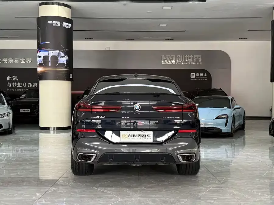 BMW X6