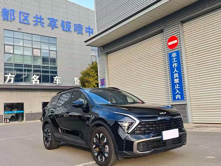 kia Lion Platinum Expands the Boundary