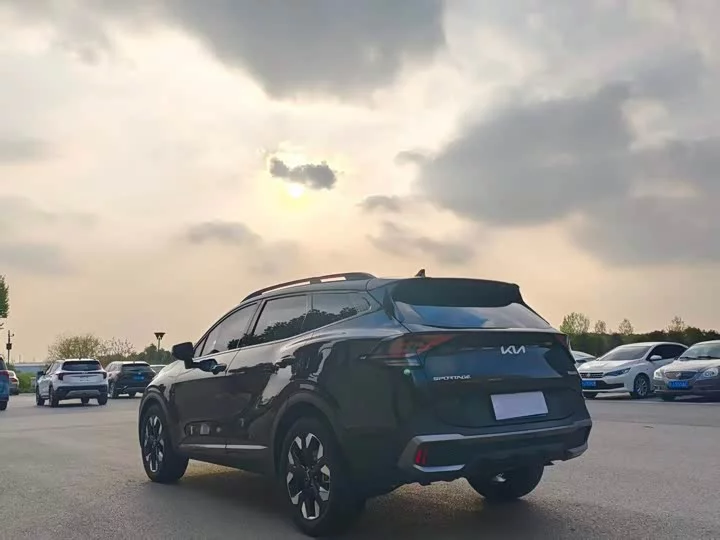 kia Lion Platinum Expands the Boundary